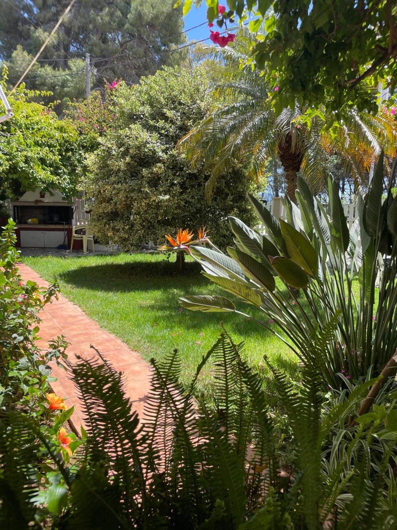 Apartment Buganvillas